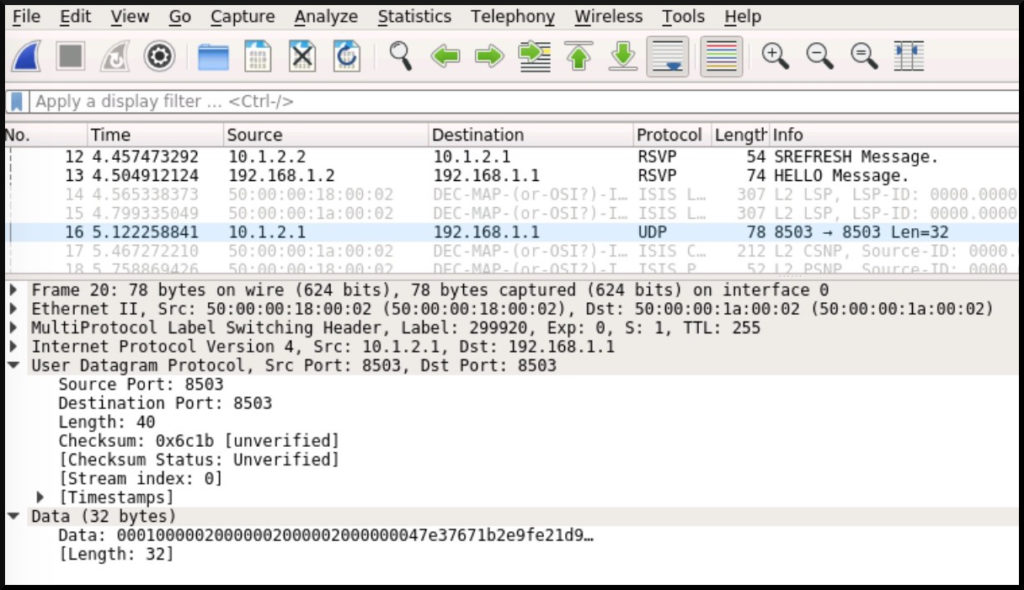 JUNOS MPLS SELFPING, ON JUNIPER ROUTERS NETWORK FUNTIMES