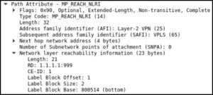 L2VPN: THE LABEL BASE AND OFFSET, EXPLAINED! – NETWORK FUN-TIMES